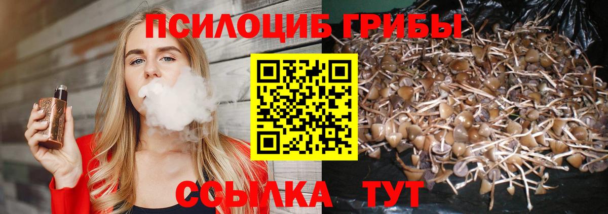 Александров  Псилоцибиновые грибы MAGIC MUSHROOMS  Вход с VPN 
