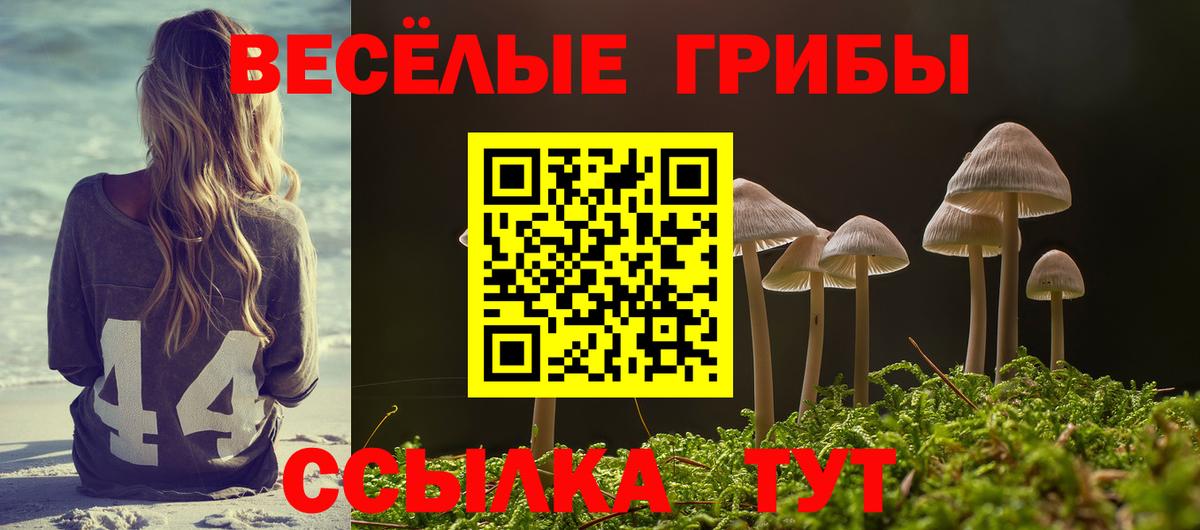 Галлюциногенные грибы Magic Shrooms Александров